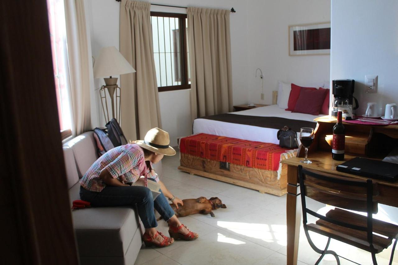 La Cochinilla Hotel Boutique Oaxaca Zewnętrze zdjęcie