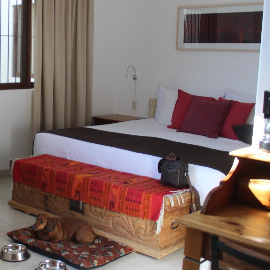 La Cochinilla Hotel Boutique Oaxaca Zewnętrze zdjęcie
