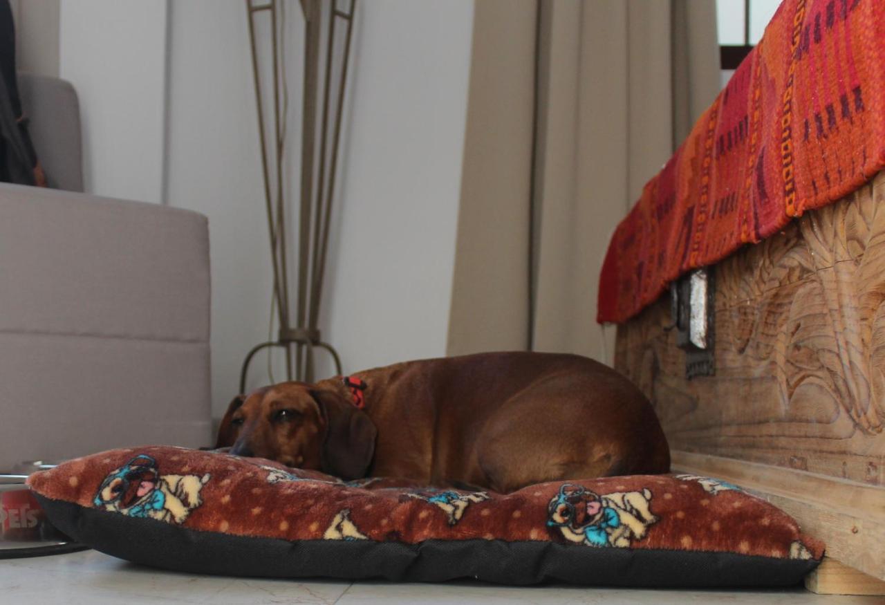 La Cochinilla Hotel Boutique Oaxaca Zewnętrze zdjęcie